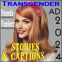 Caption Stories and Vignettes: 2024